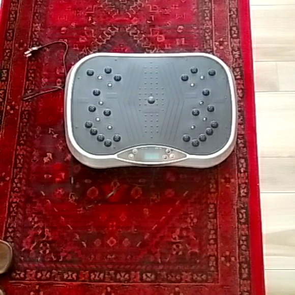 Everlast fat slinger vibration plate - Picture 1 of 1